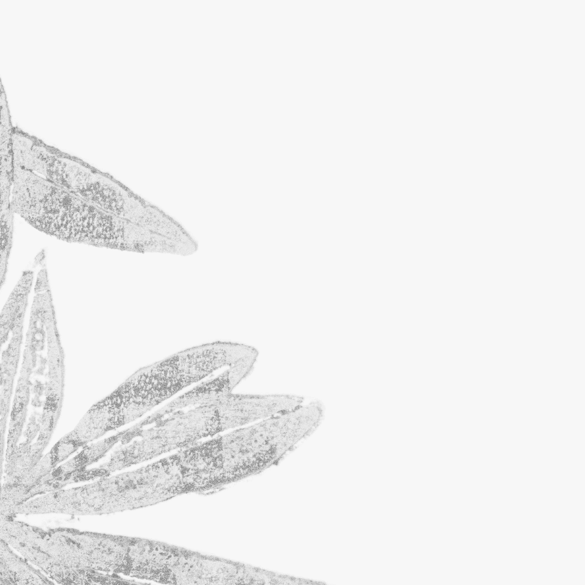 Single release: Peace Song